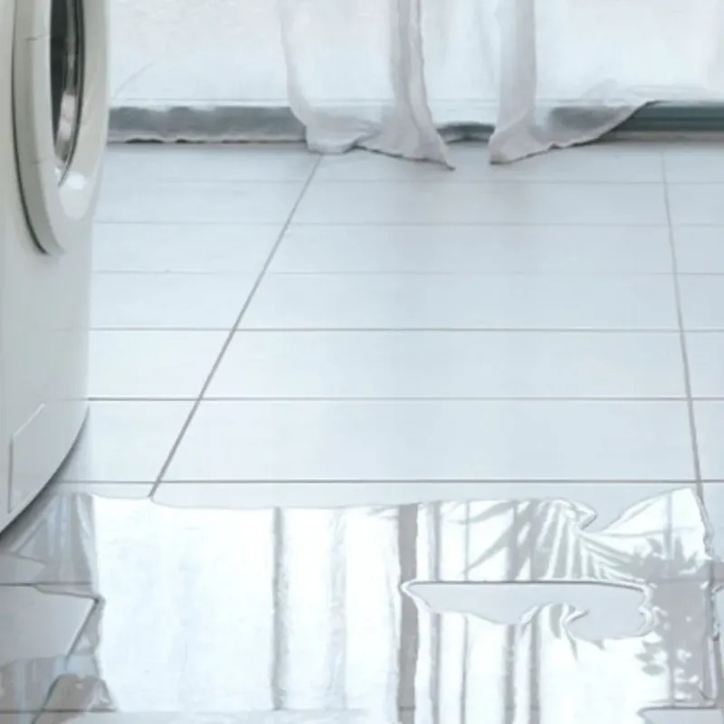 Appliance Leak Cleanup in Onalaska, TX
