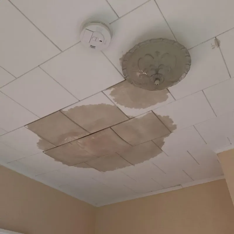 Ceiling Water Damage Repair in Onalaska, TX