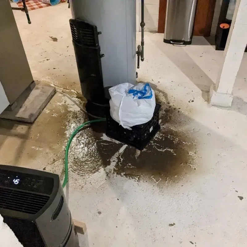 Sewage Backup Cleanup Service in Onalaska, TX